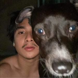 Meet your Posher, France